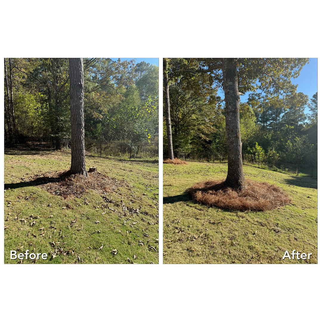 Pine Straw Installation Oxford MS
